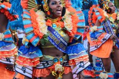 IMG_0317