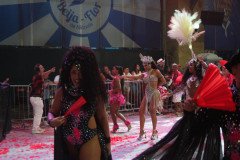 IMG_8231