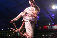 IMG_7950