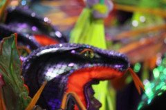 IMG_1780