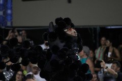 IMG_1782