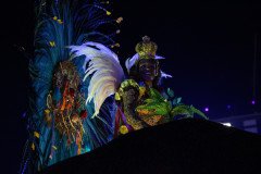 IMG_2410