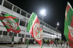 IMG_7239